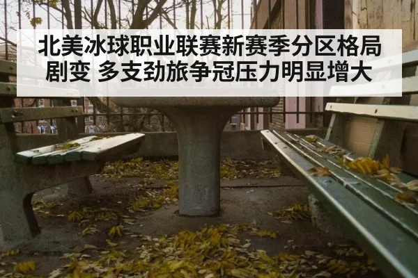 北美冰球职业联赛新赛季分区格局剧变 多支劲旅争冠压力明显增大