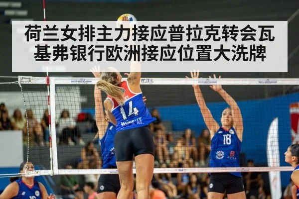 荷兰女排主力接应普拉克转会瓦基弗银行欧洲接应位置大洗牌